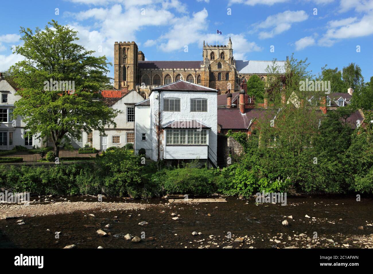 Ripon Cathedral and River Ure, Ripon, North Yorkshire, England, United Kingdom, Europe Stock Photo