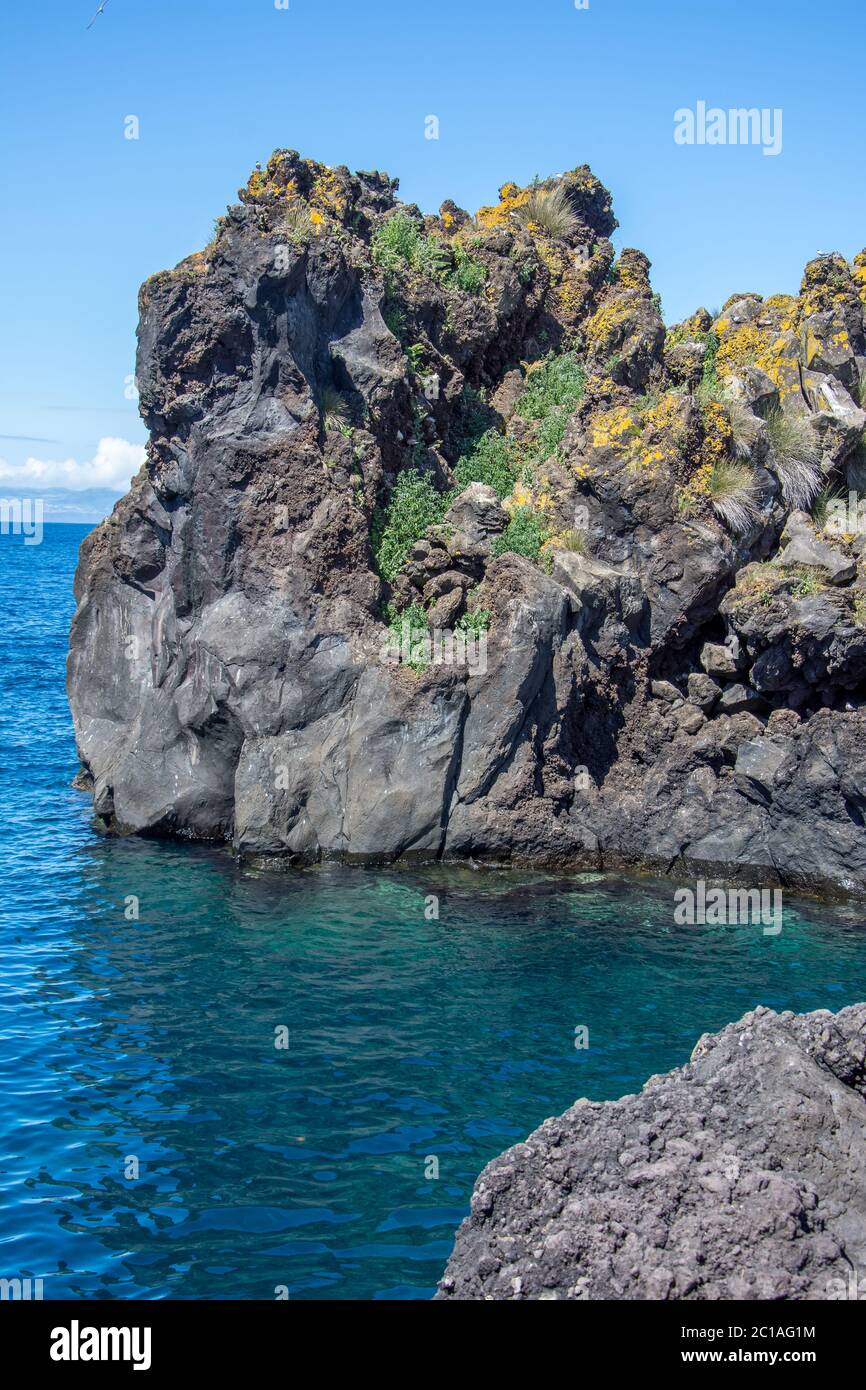 Walk on the Azores archipelago. Discovery of the island of Pico, Azores ...