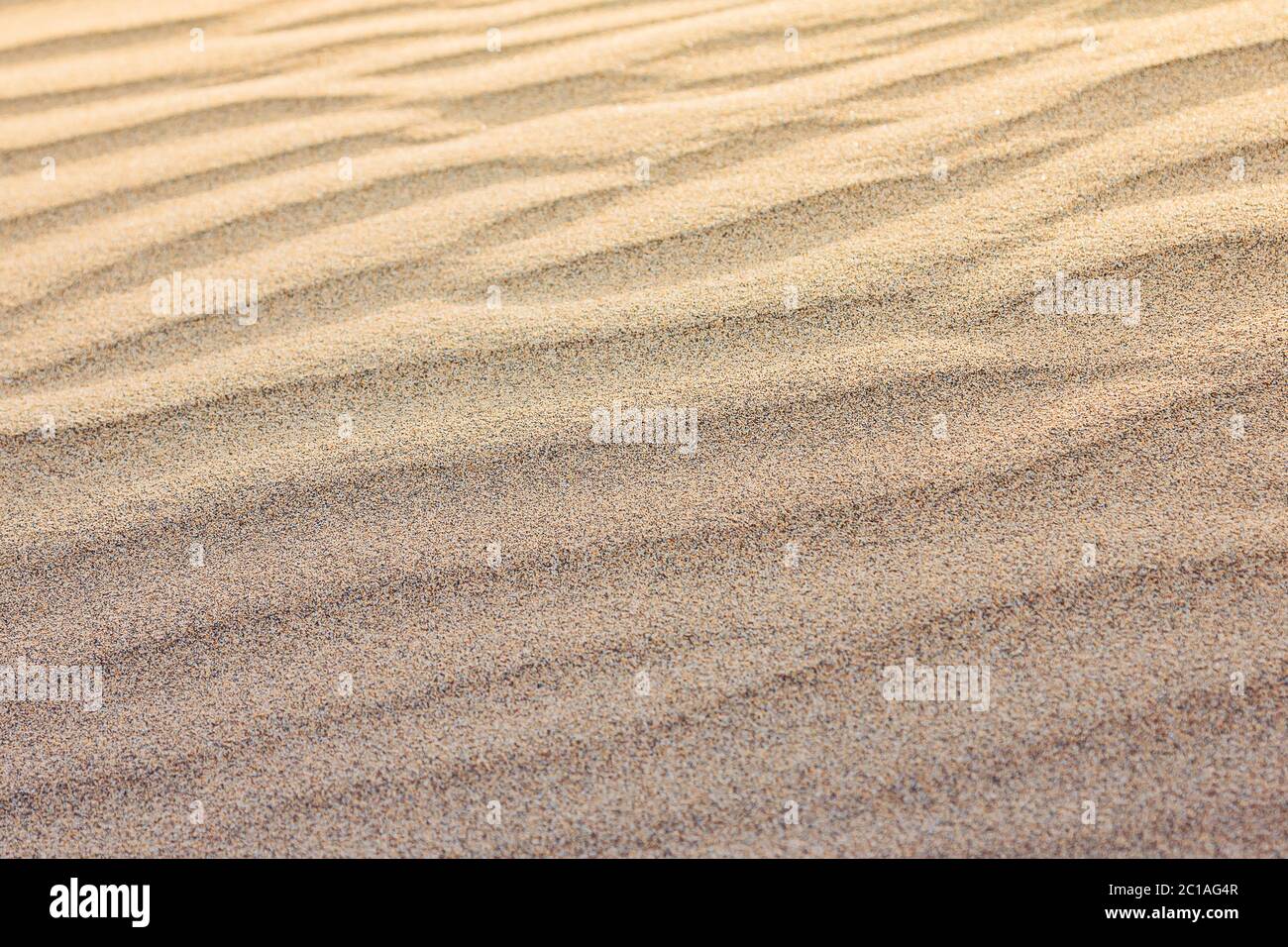 Sand intelligence overview