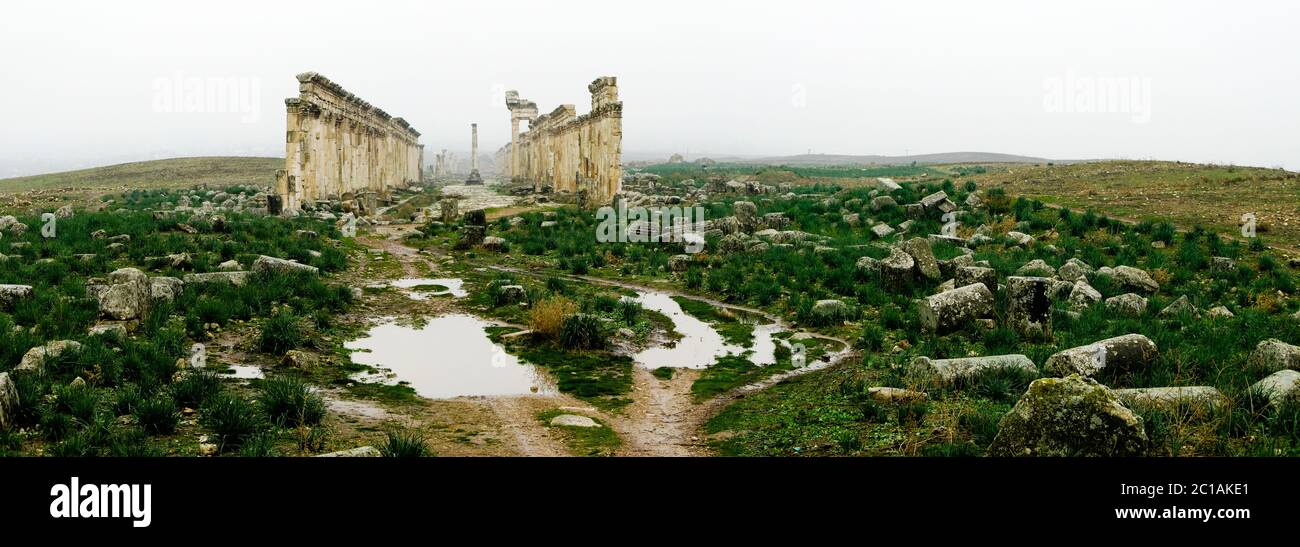 Great Colonnade at Apamea in fog, partially destroyed by ISIS, Syria Stock Photo