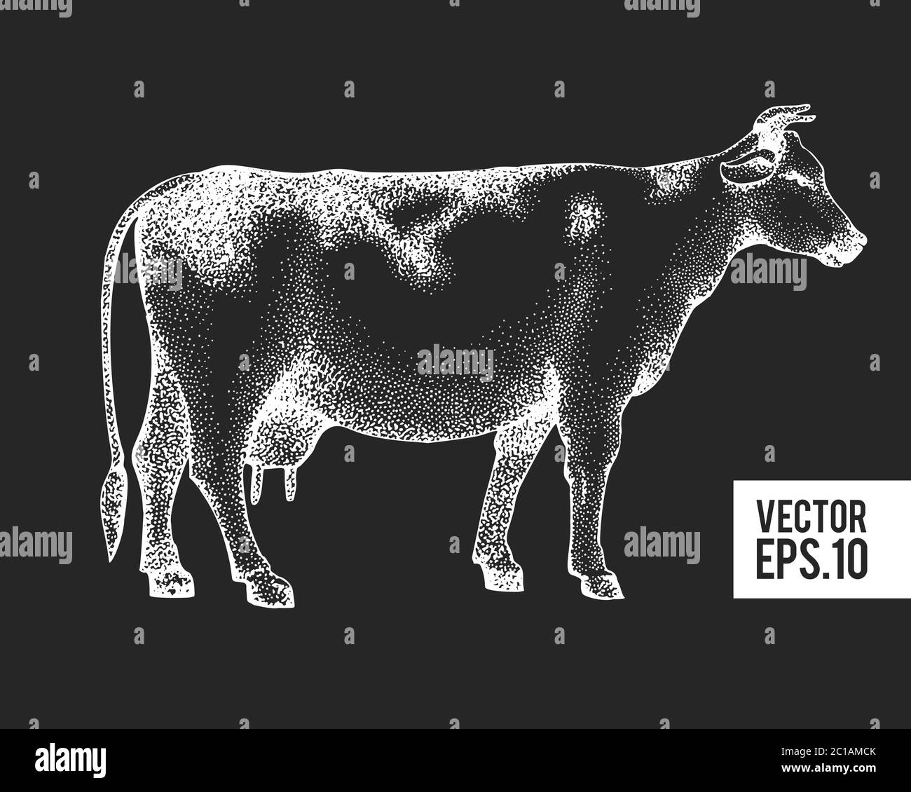 Hand drawn cow illustration. Vector farm sketch on chalk board. Retro farm illustration Stock Vector