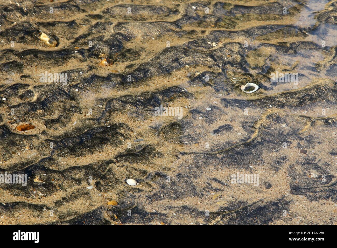 Sand patterns and shells on the beach, Ampangorinana Village, Nosy ...
