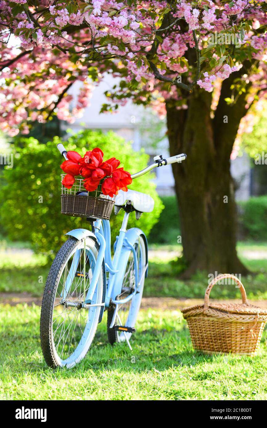 picnic basket for bike