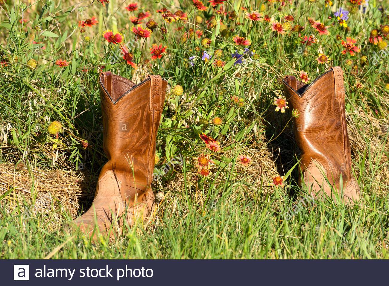 hiking cowboy boots