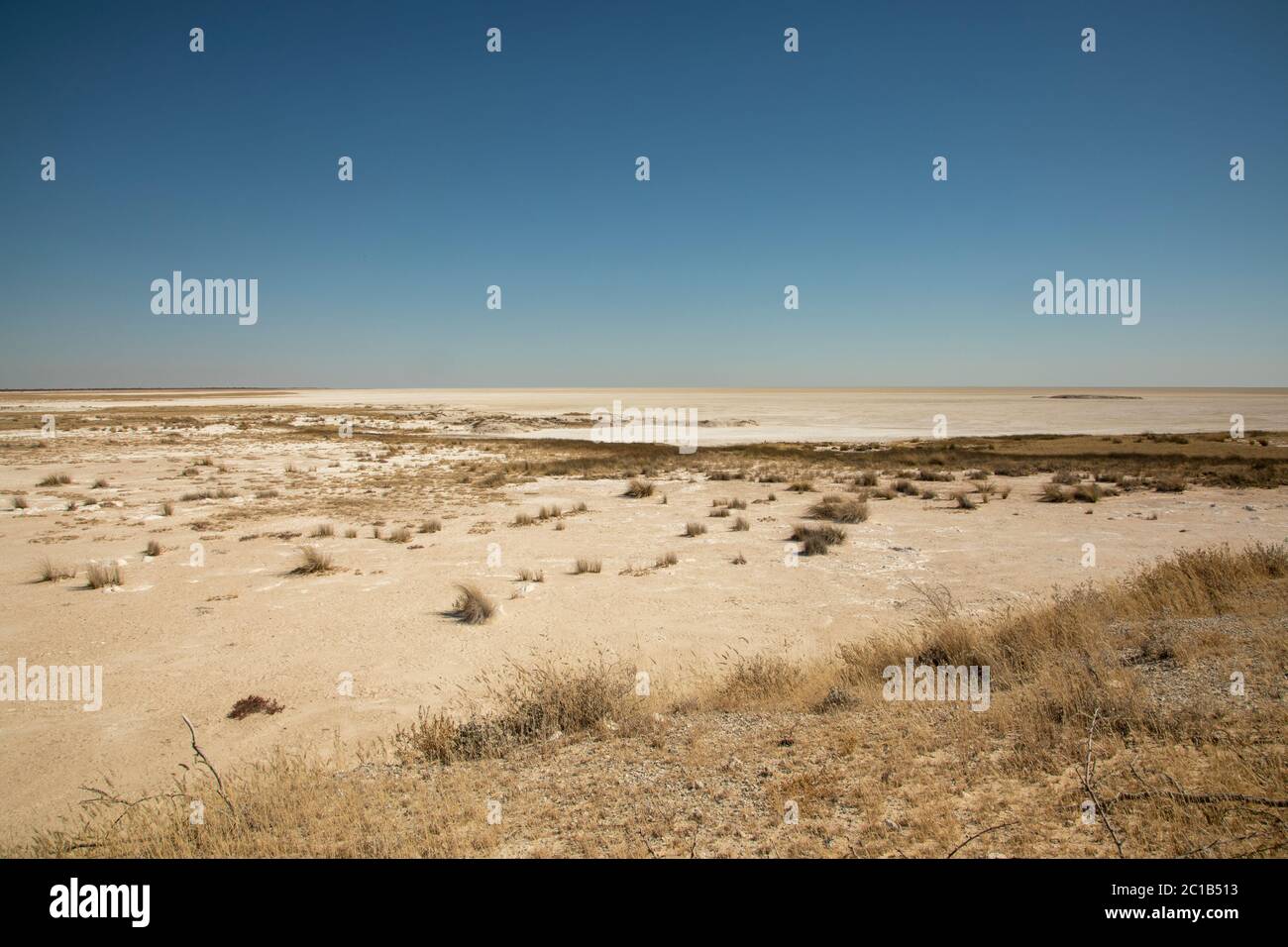 Salt pans of Namibia, Etosha National Park, Kalahari Desert, Ecoregions of  Namibia Stock Photo - Alamy