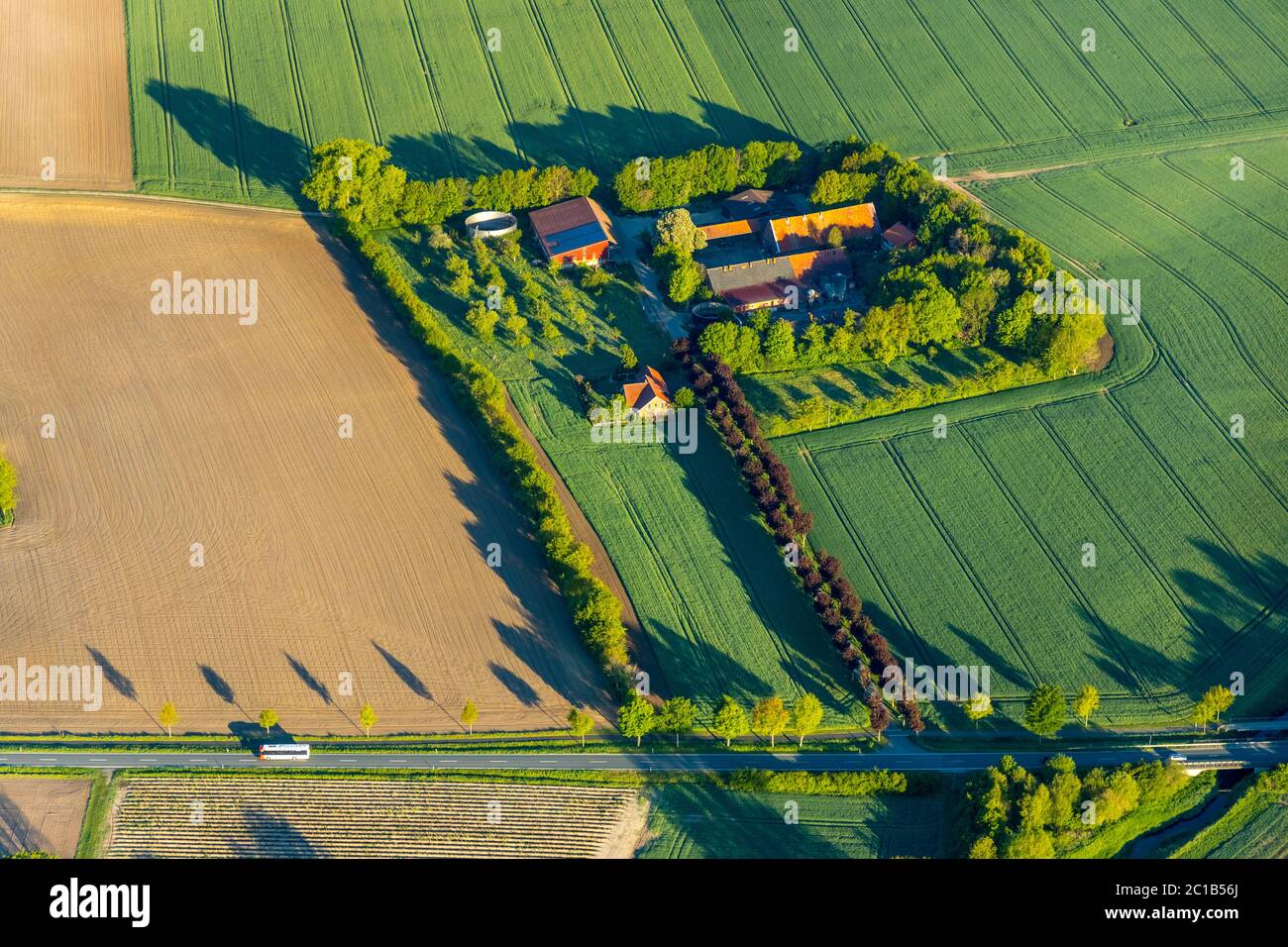 Aerial photograph, agricultural homestead, Everswinkel, Warendorf district, Münsterland, North Rhine-Westphalia, Germany, farm, DE, Europe, aerial pho Stock Photo