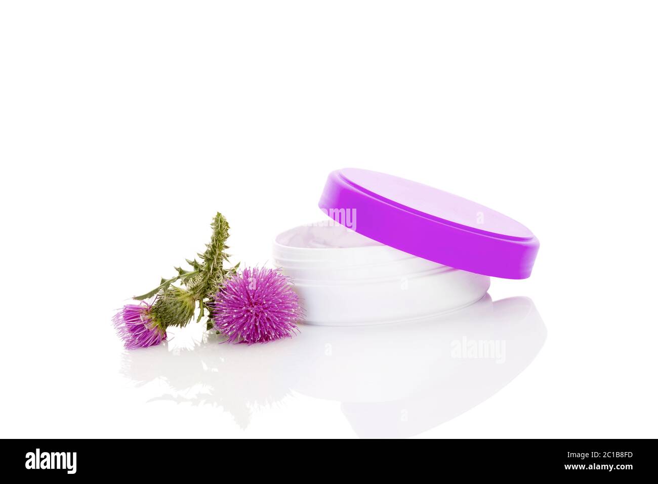 Carduus flower creme with flowers Stock Photo