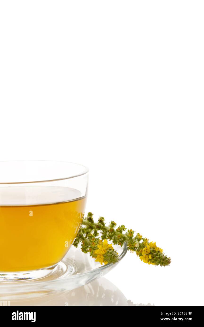Healthy agrimonia cup of tea Stock Photo - Alamy