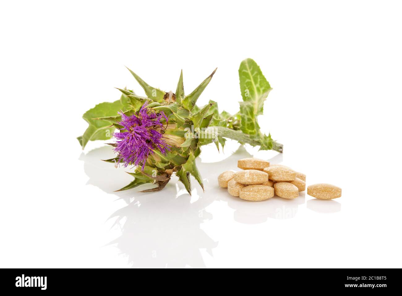 Milk Thistle natural medicine Stock Photo Alamy