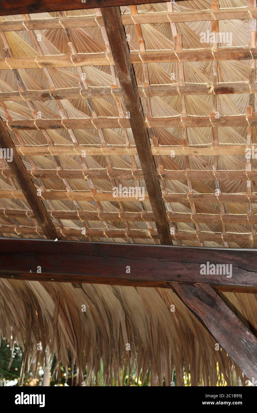 Traditional palm-leaved thatch roof ceiling, Ampangorinana Village Nosy ...