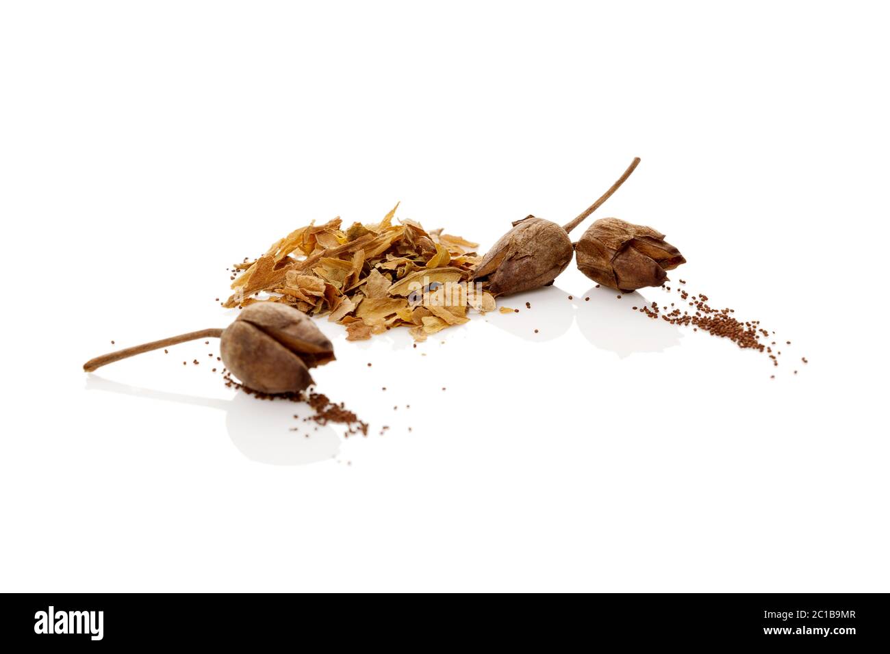 Dried tobacco seeds and crushed leaves Stock Photo - Alamy