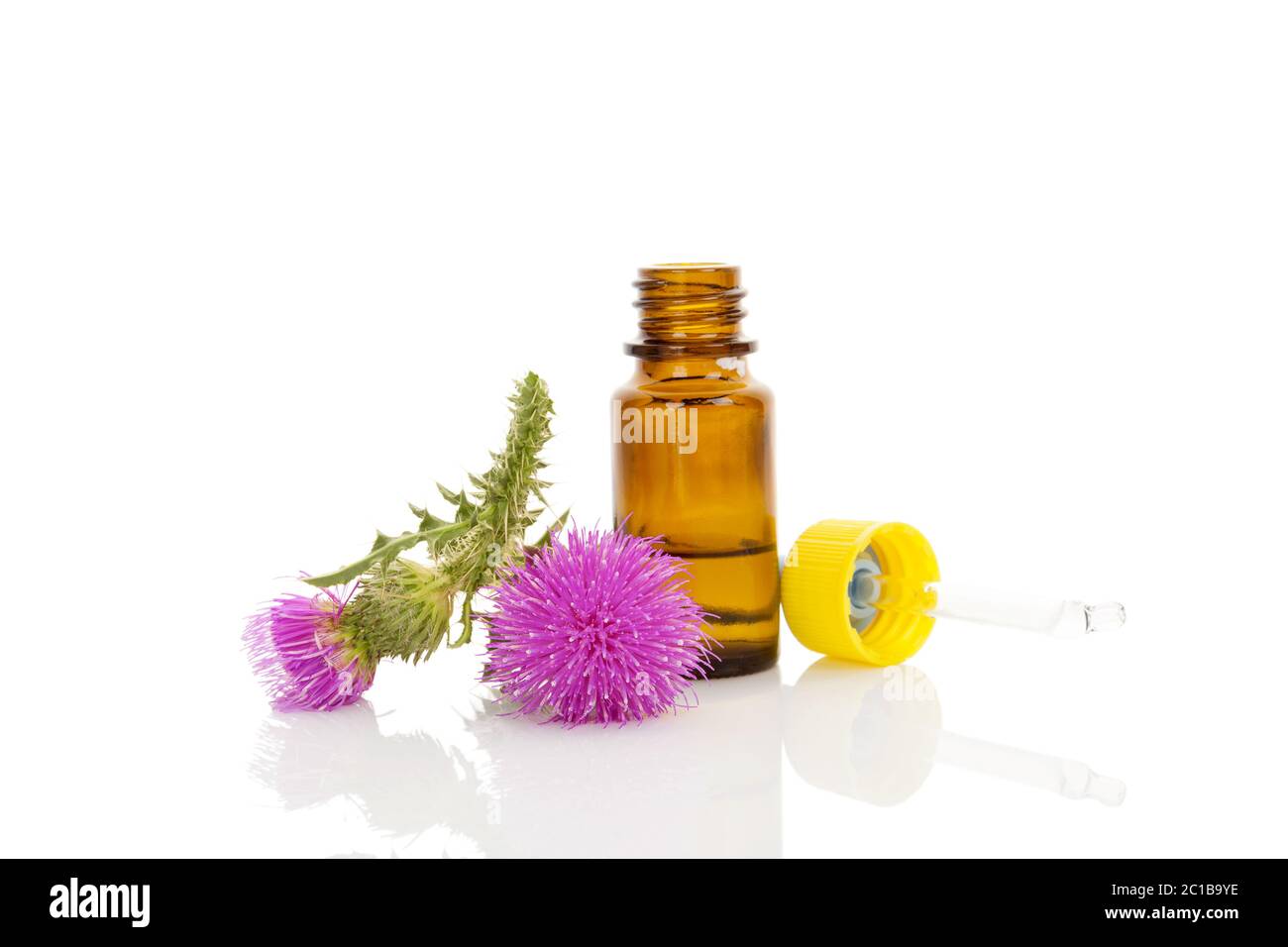 Carduus flower essential oil. Stock Photo