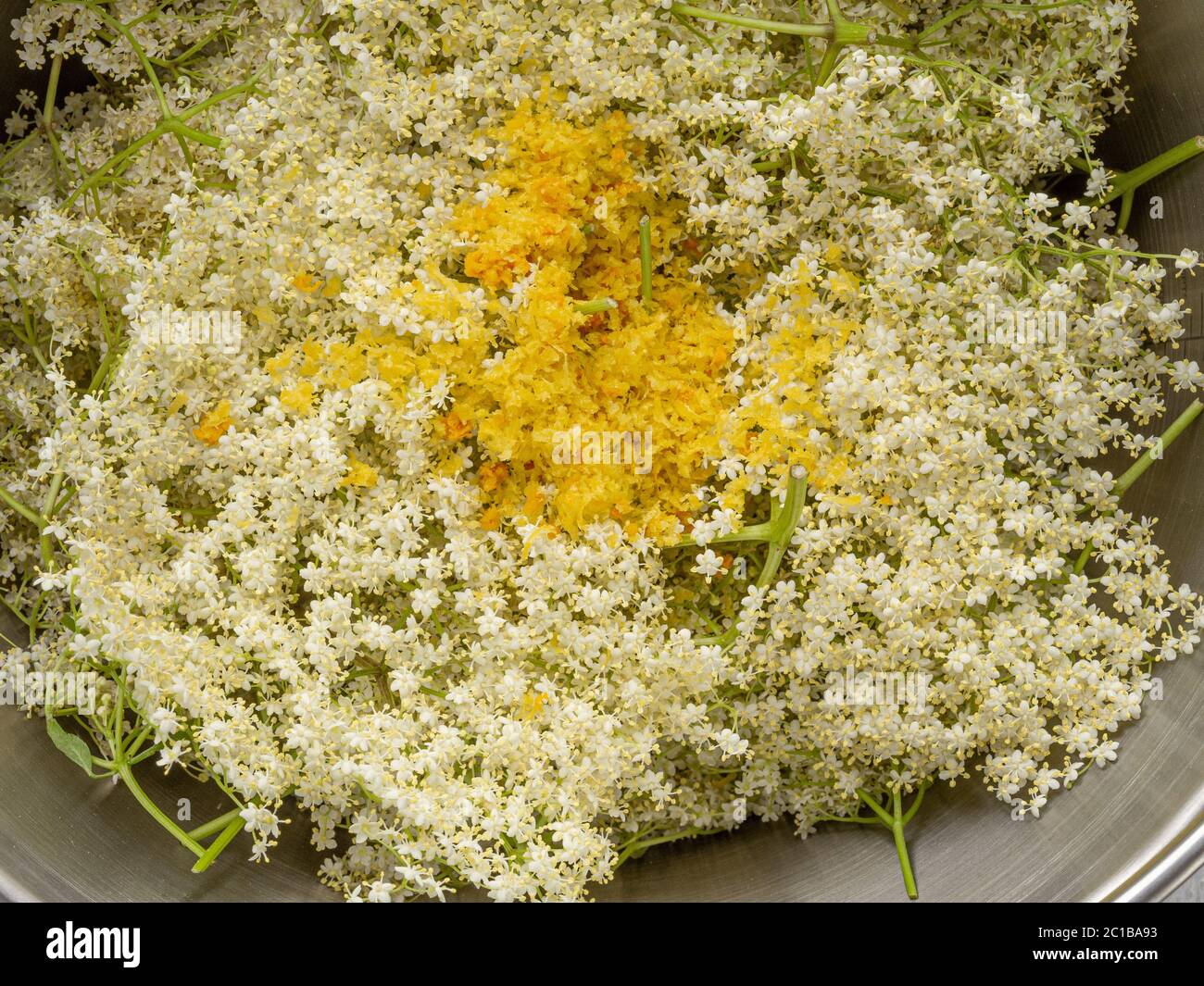 Freshly picked elderflowers along with lemon and orange zest in a maslin pan. Stock Photo