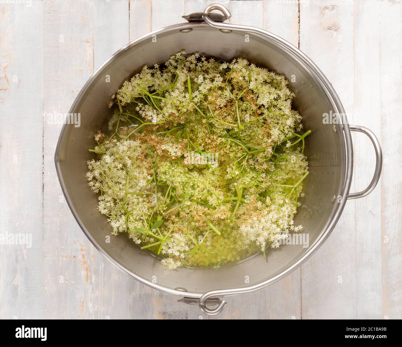 Masling pan with elderflowers steeping in water. Part of the process for making cordial. Stock Photo