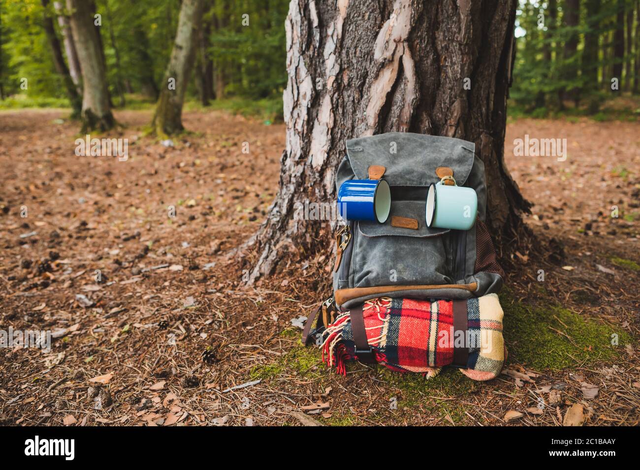 hiking backpack near tree in forest Stock Photo - Alamy
