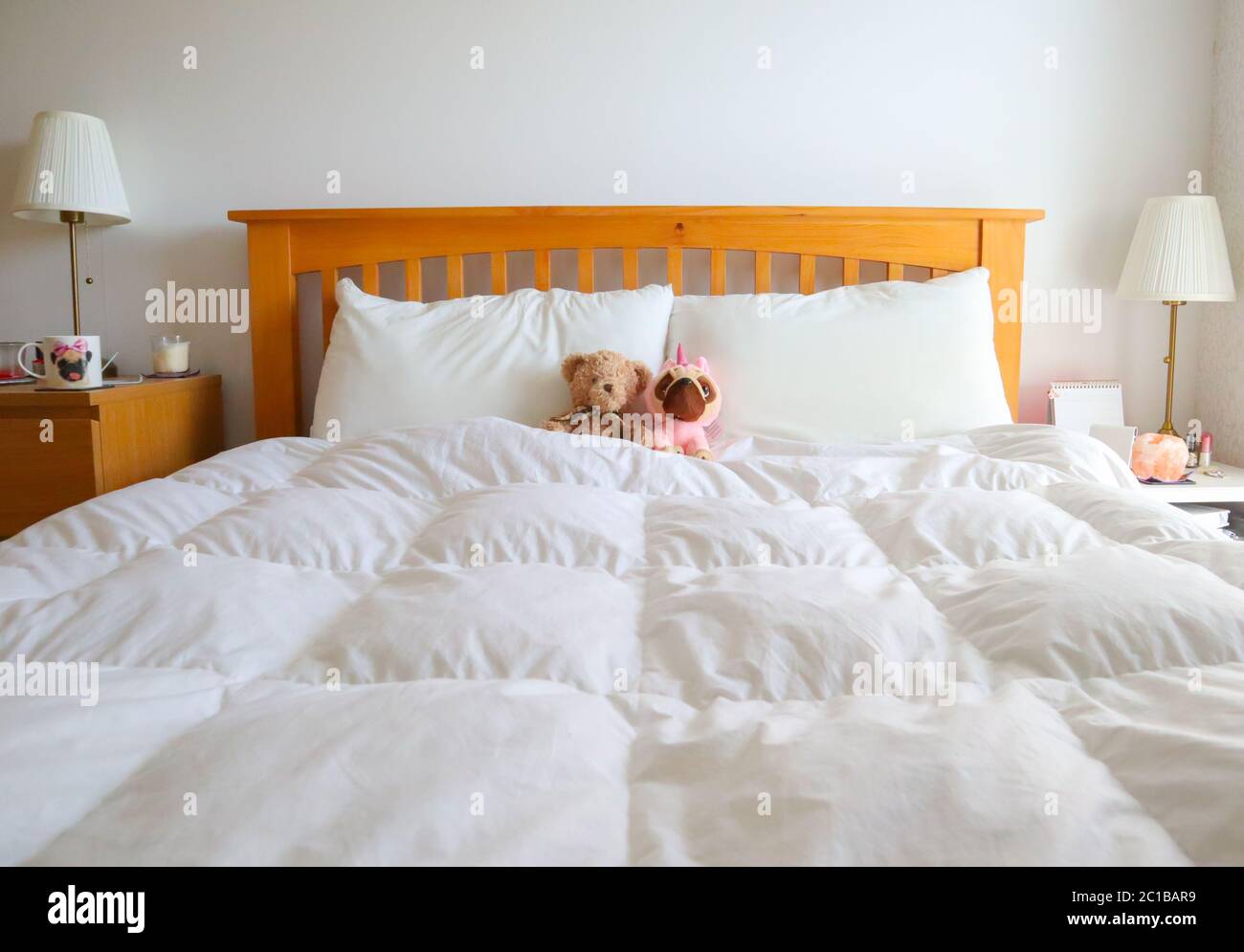 Two teddies in bed, with white linen, in a light, airy bedroom Stock