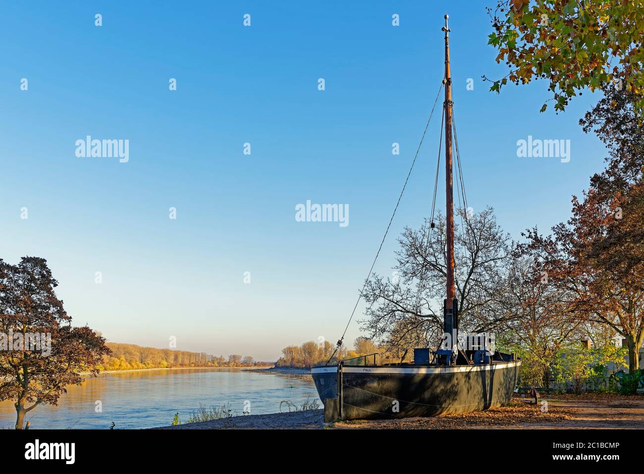 'SchUM-Stadt, Herbstlaubfärbung, Fluß, Rhein, Schiff, Aalschokker ''Paul''' Stock Photo