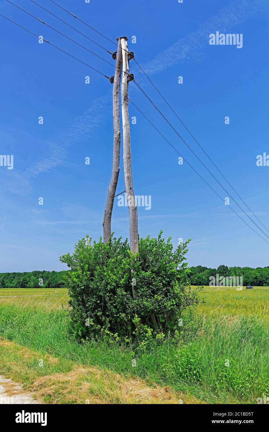 Strommast, Landschaft, Felder, Wald, Stromleitung Stock Photo
