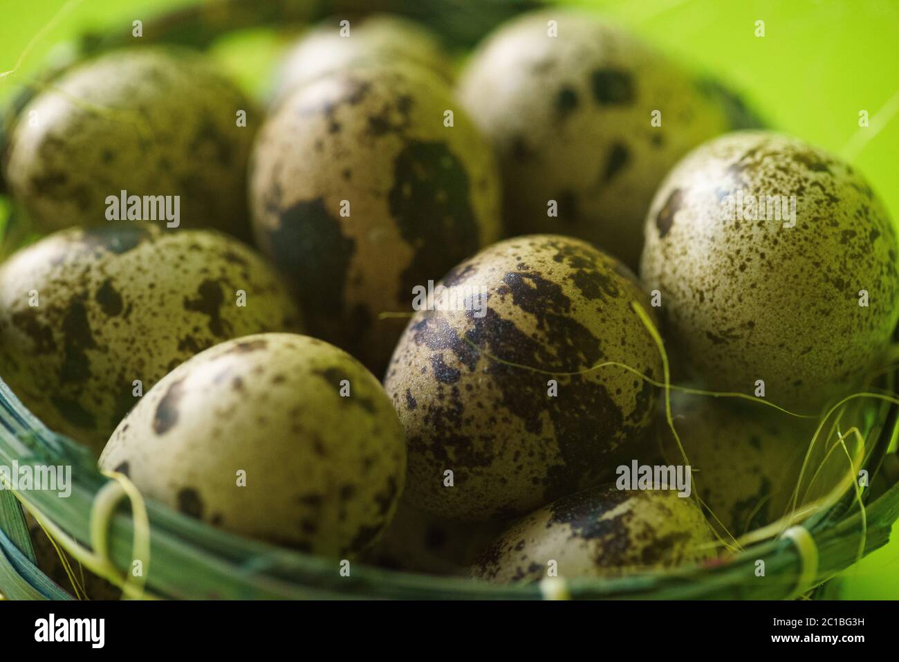 Quail Eggs in Basket Stock Photo