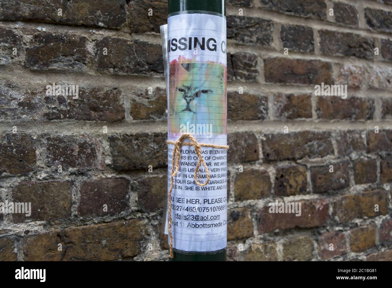 homemade poster for a missing cat, held with string and wrapped around a lamppost, in twickenham, middlesex, england Stock Photo