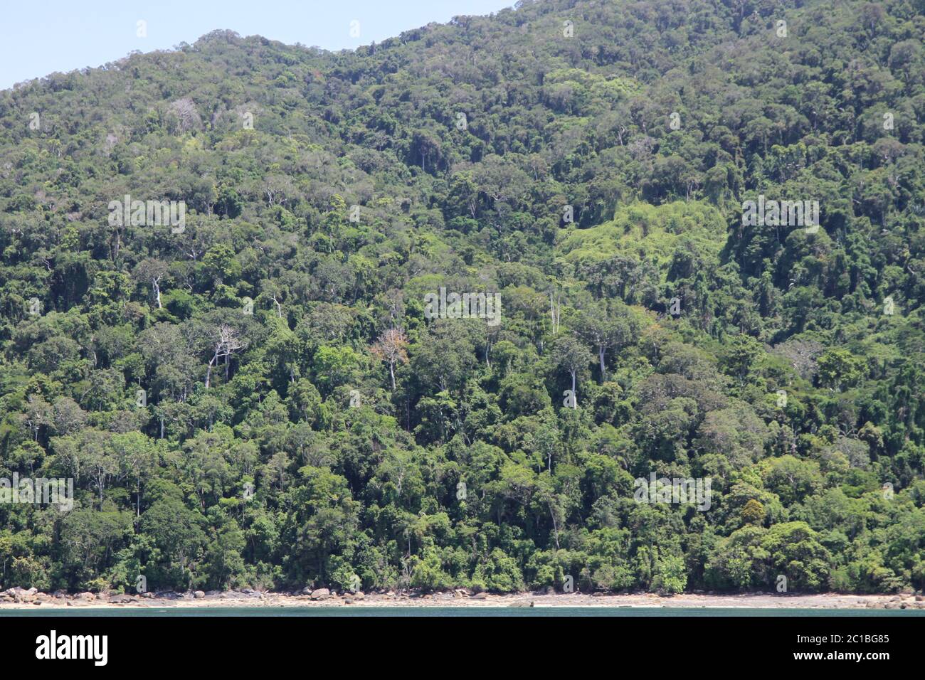 Close-up view of the Lokobe Strict Nature Reserve on Nosy Be Island from a boat Madagascar. Stock Photo