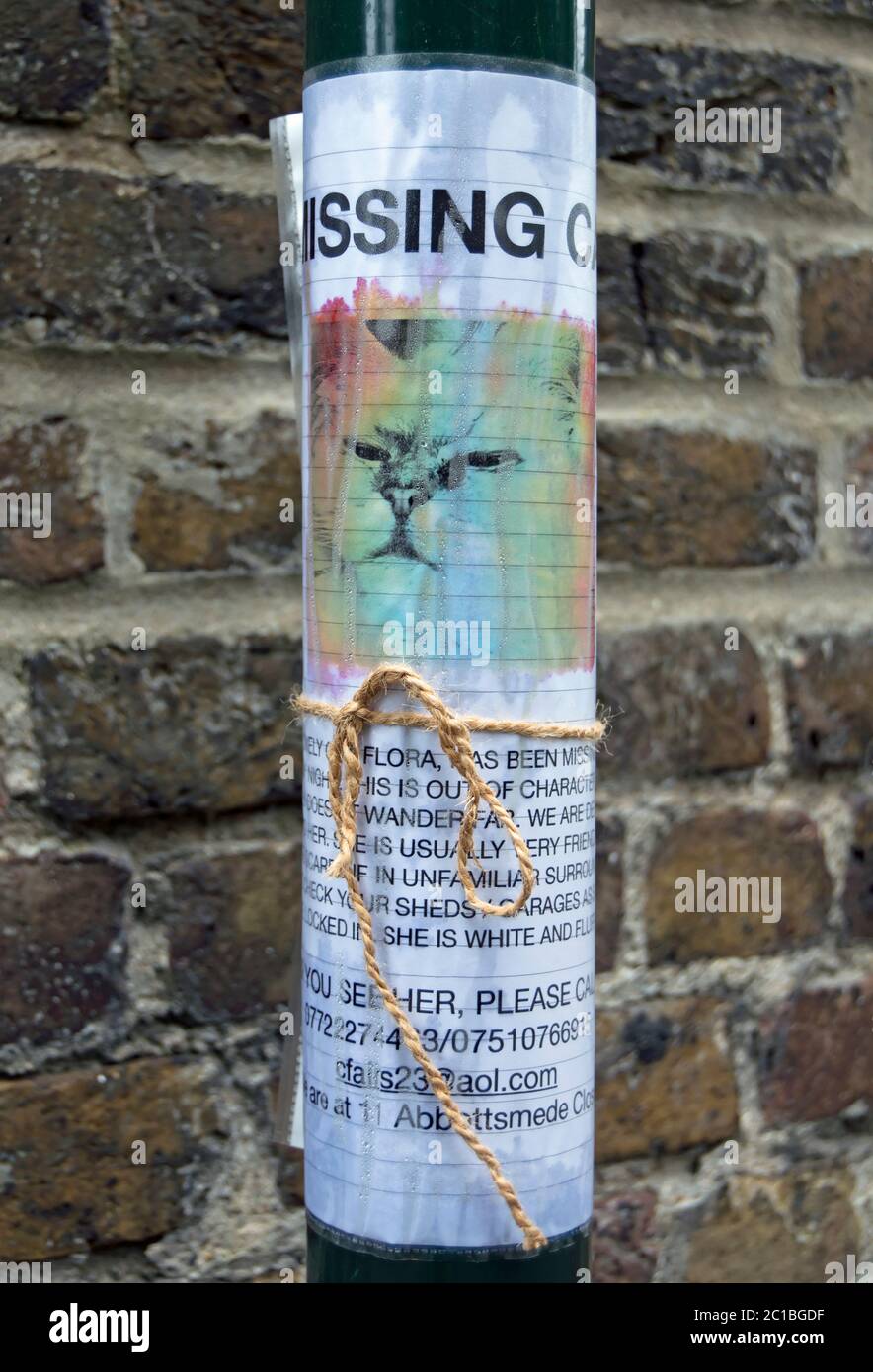 homemade poster for a missing cat, held with string and wrapped around a lamppost, in twickenham, middlesex, england Stock Photo