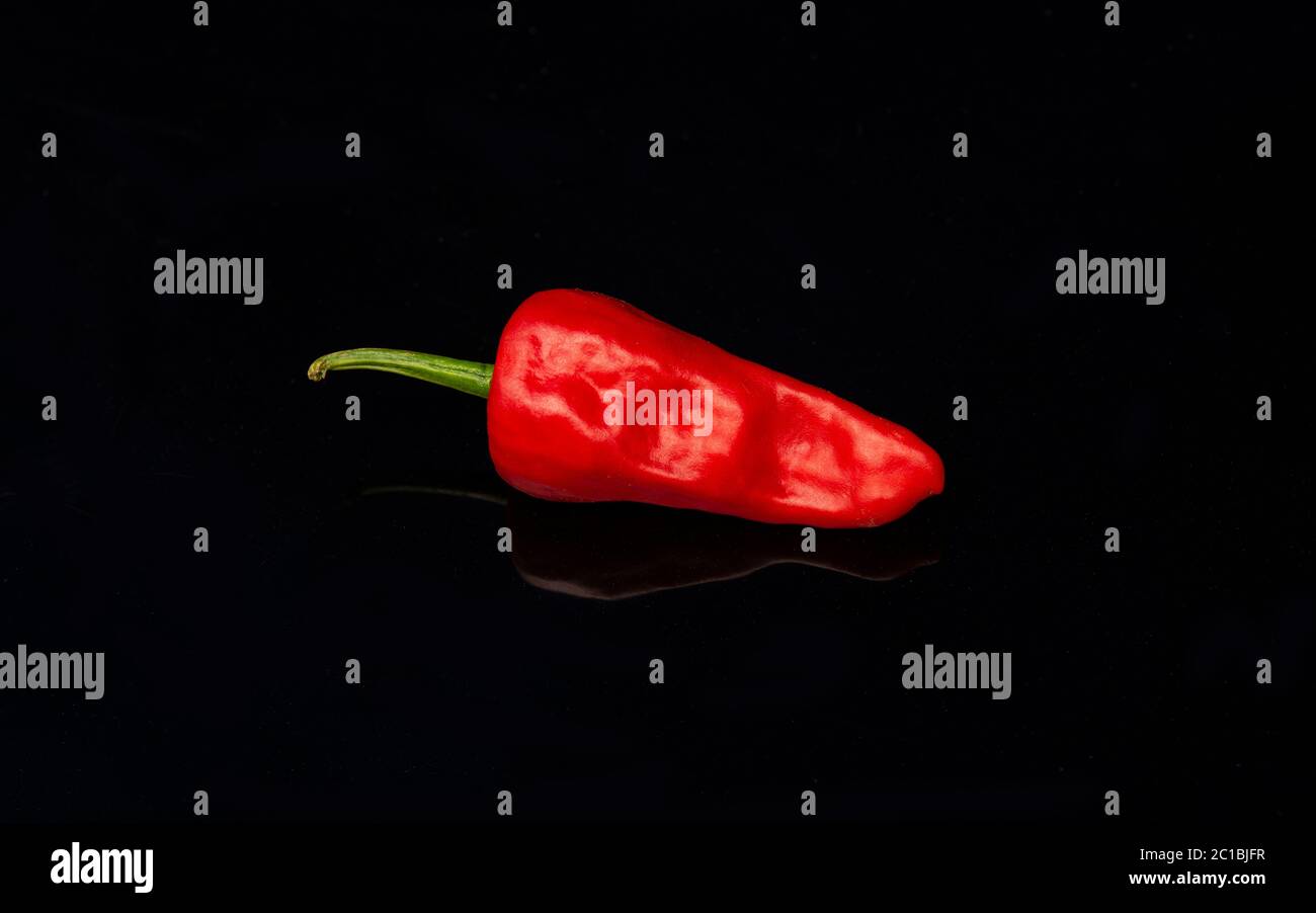 Isolated chili pepper hi-res stock photography and images - Alamy