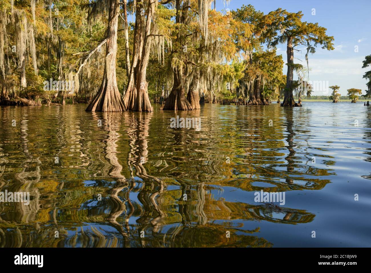 North America, USA, American, South, Seep South, Louisiana, Jefferson Parish, St.Martinville, Lake Fausse, Stock Photo