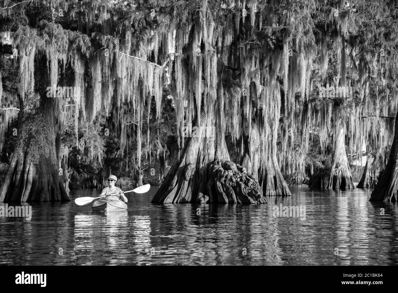 USA, Louisiana, Jefferson Parish,St.Martinville, Lake Fausse, woman in kayak in old growth forest MR Stock Photo