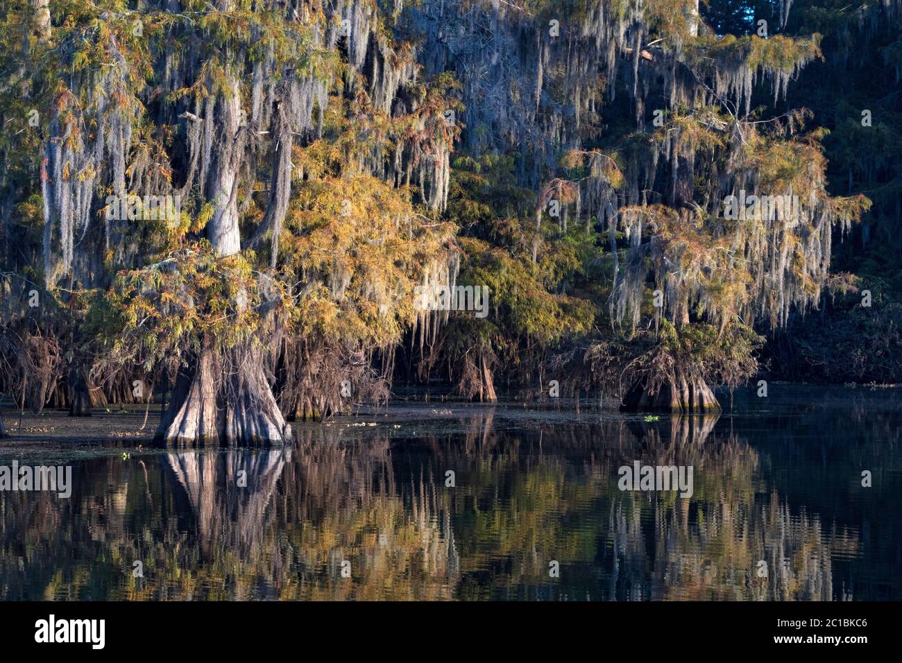 Jefferson parish hires stock photography and images Alamy