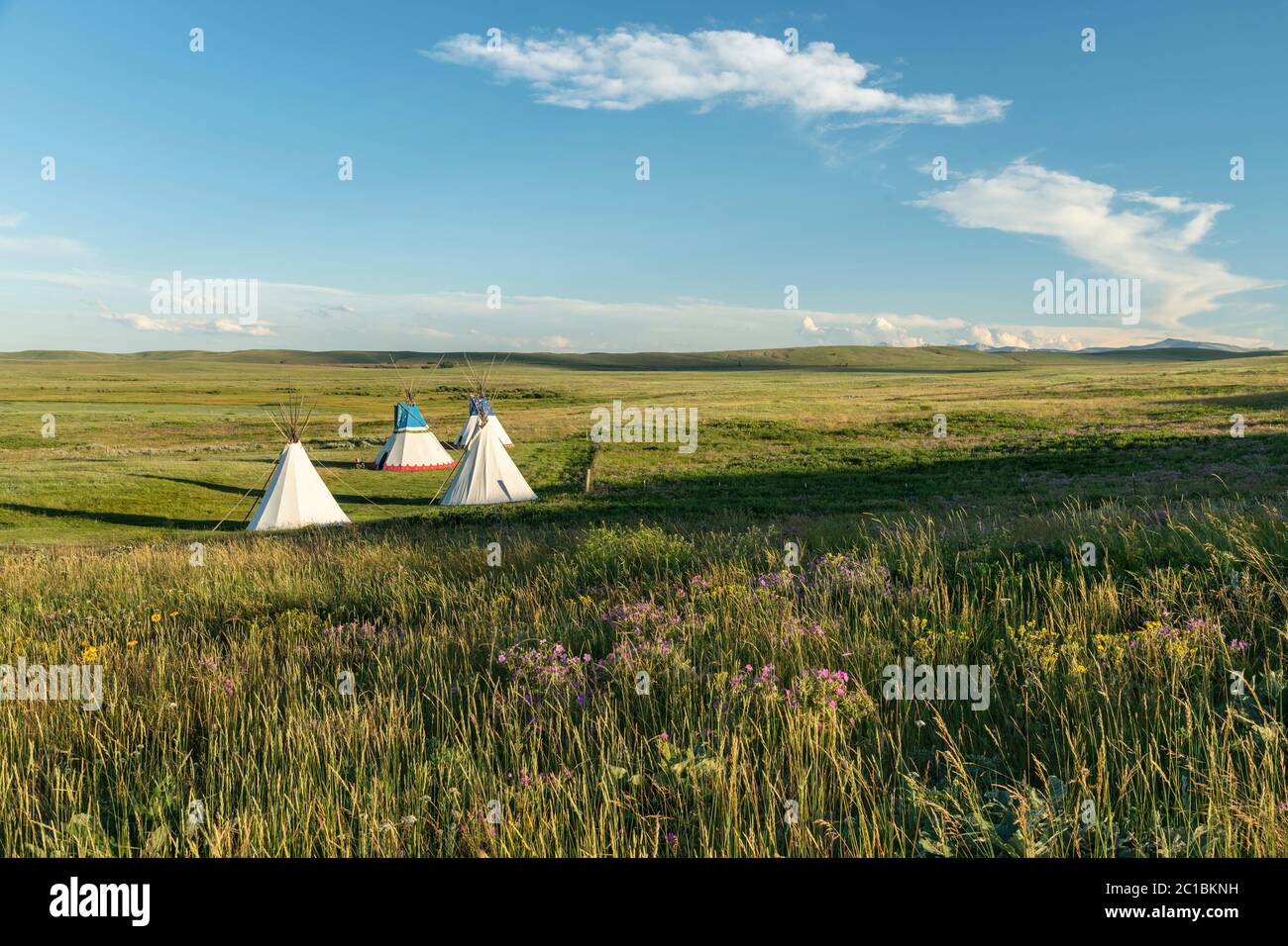 USA, Montana, Blackfeet Indian Reservation, Browning, Lodgepole Gallery