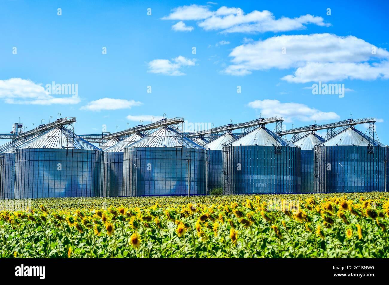 Sunflower oil production plant and sunflower field Stock Photo Alamy