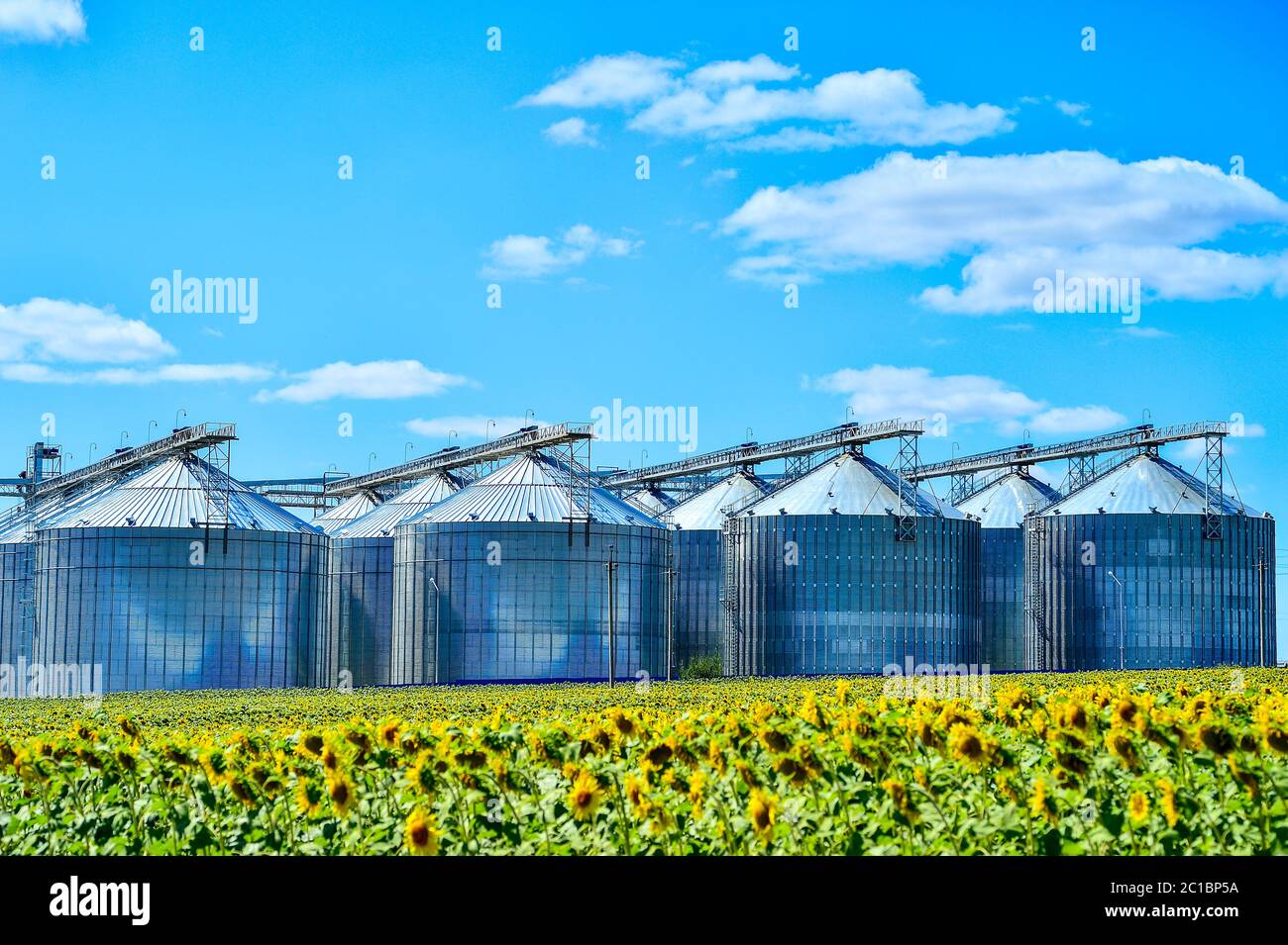 Sunflower oil production plant and sunflower field Stock Photo Alamy