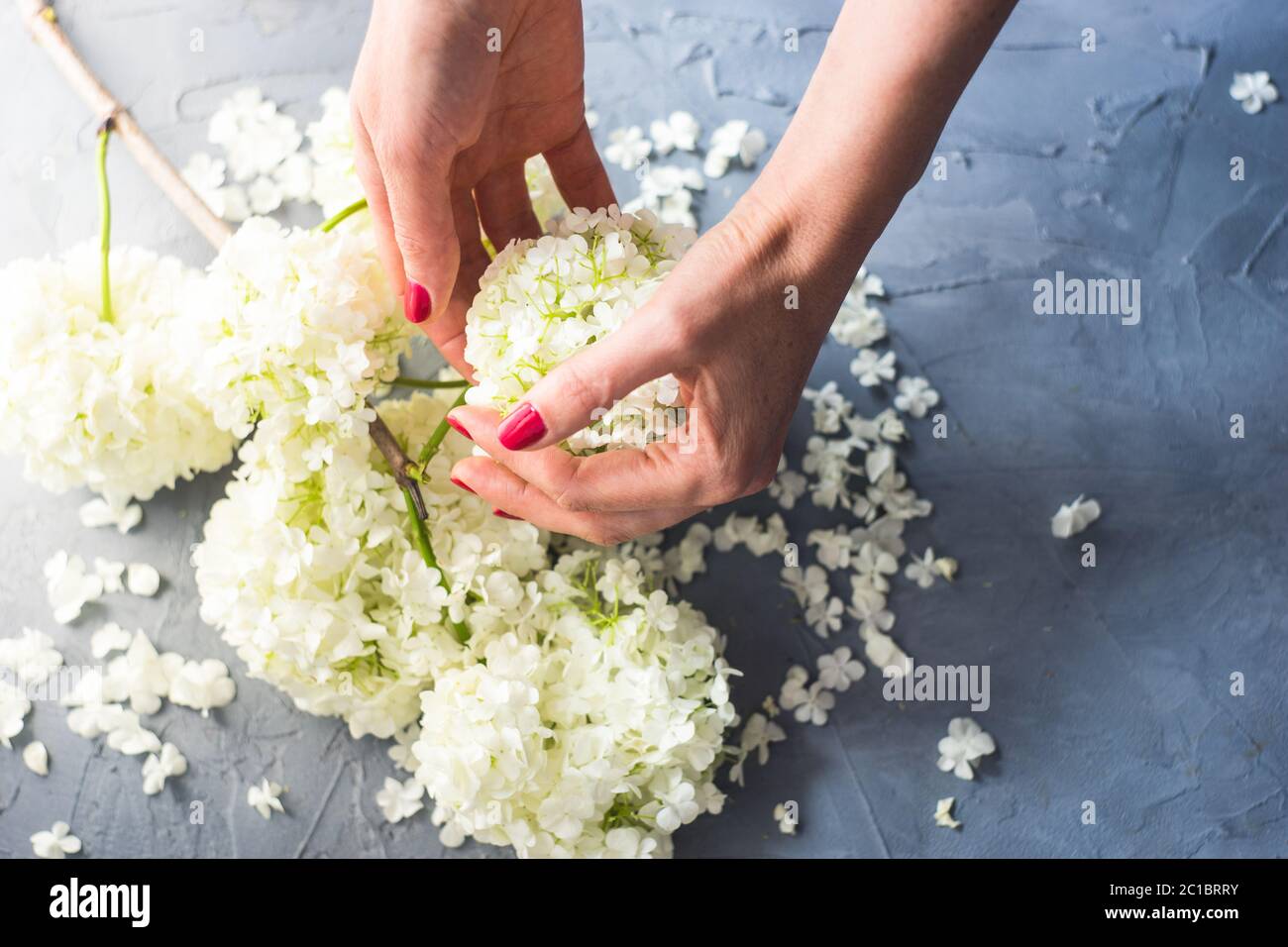 Floral concept for card Stock Photo
