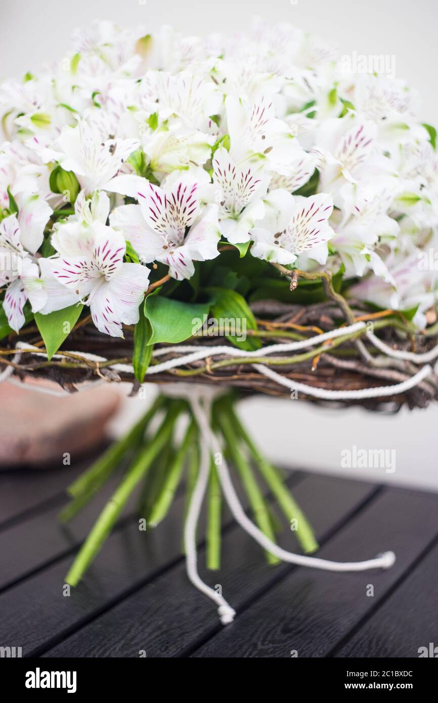 White Lily of the Incas in a bunch Stock Photo