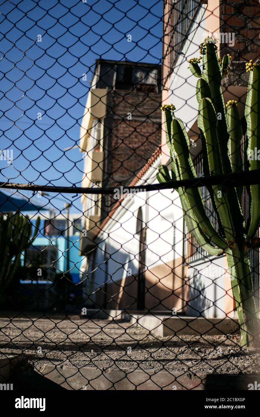 The view on narrow Peruvian street with white buildings, cactuses and concrete floor behind the fence during the sunny day with the sun setting down. Stock Photo