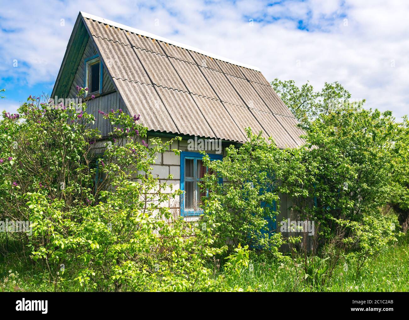 Old village abandoned house in thicket of grass and bushes under a ...