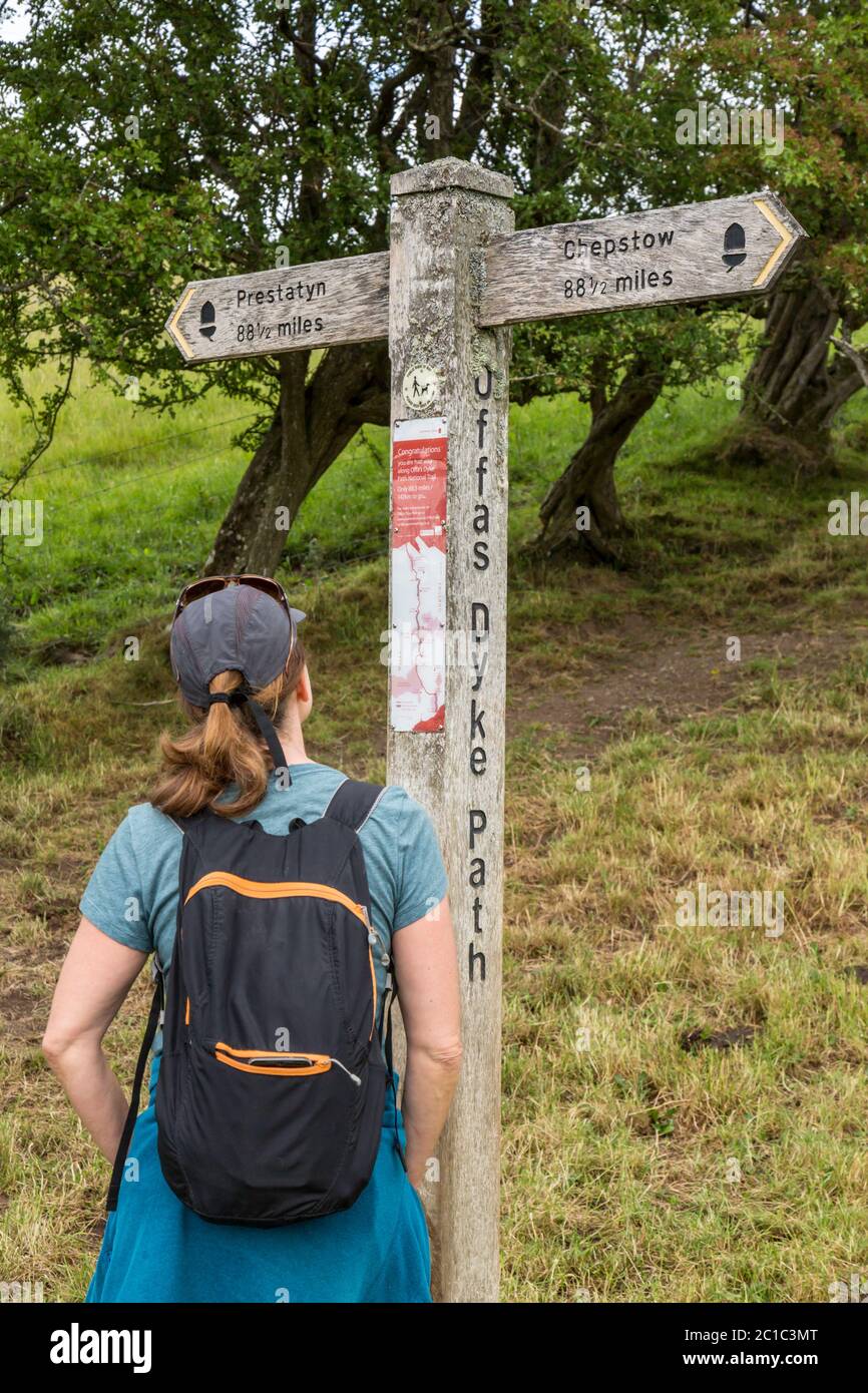 A middle aged female hiker reading the description on the sign finger post denoting halfway point of the Offa's Dyke walk bordering England and Wales. Stock Photo