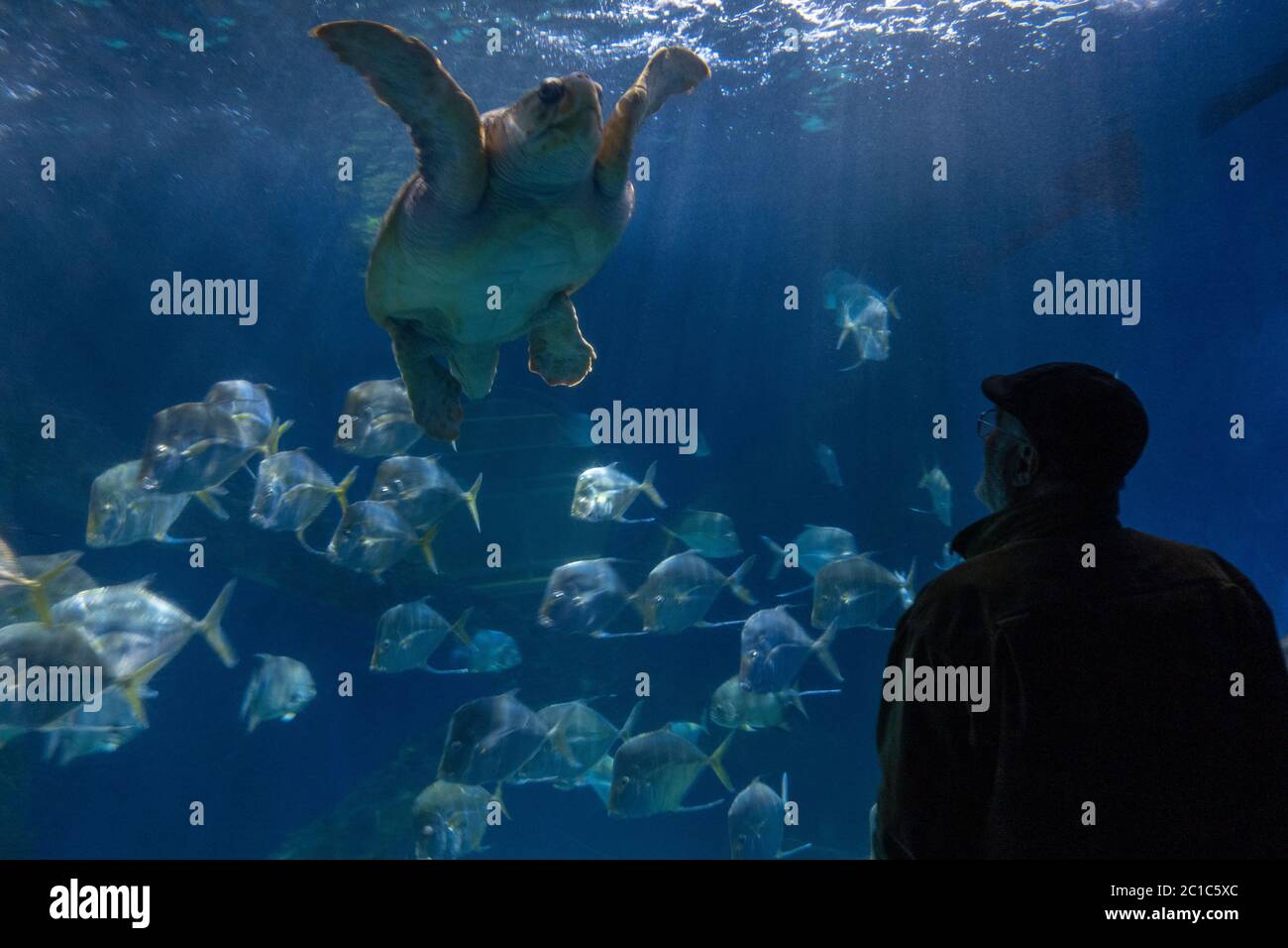 Virginia Aquarium and Marine Science Center Virginia Beach Stock Photo