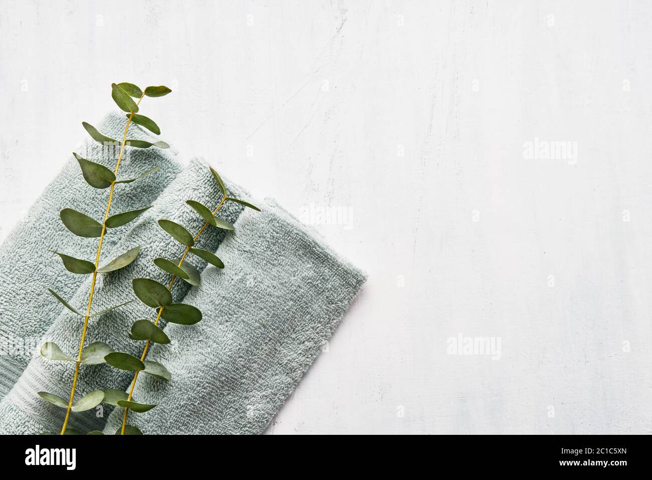 Rolled fluffy towel and green eucalyptus branch on white background