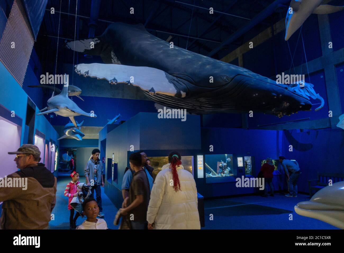Virginia Aquarium and Marine Science Center Virginia Beach Stock Photo Alamy