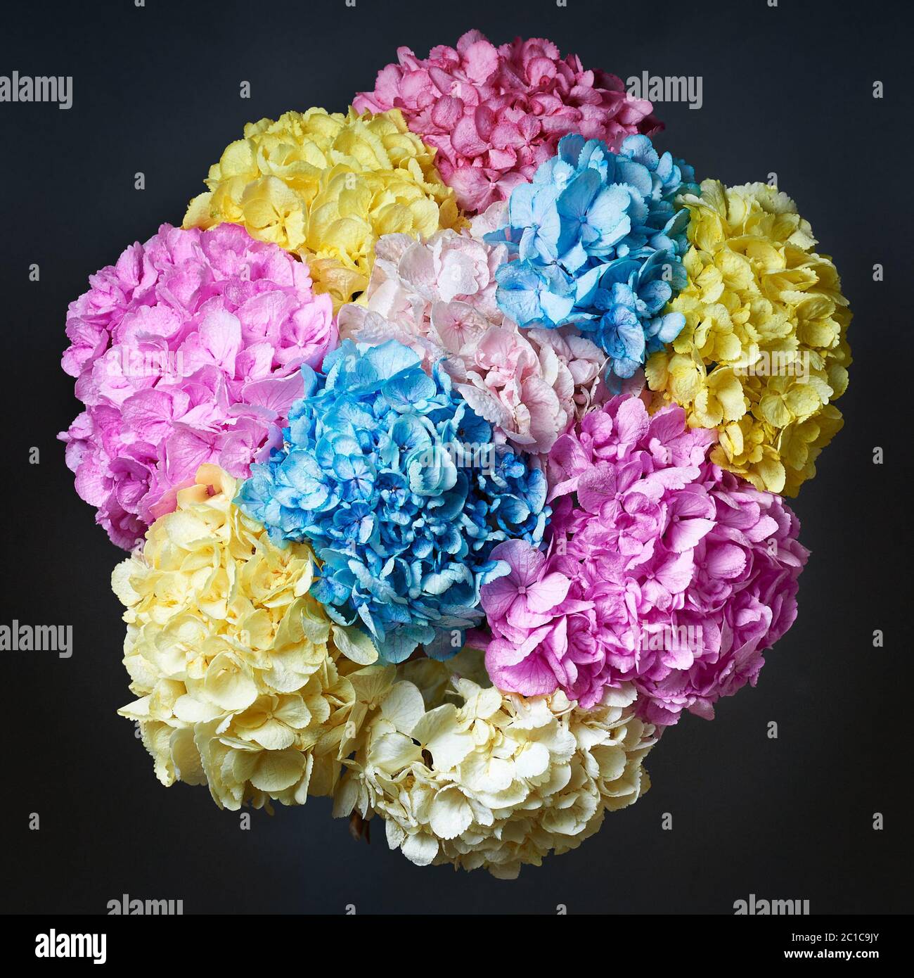 Bouquet of colored flowers peonies on a black background. Stock Photo