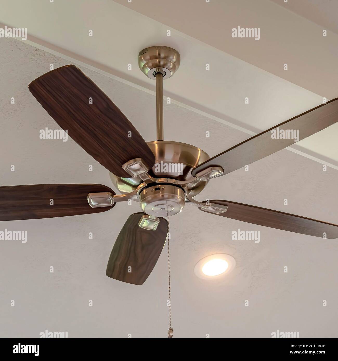 Square crop Electrical fan with built in lights installed on decorative