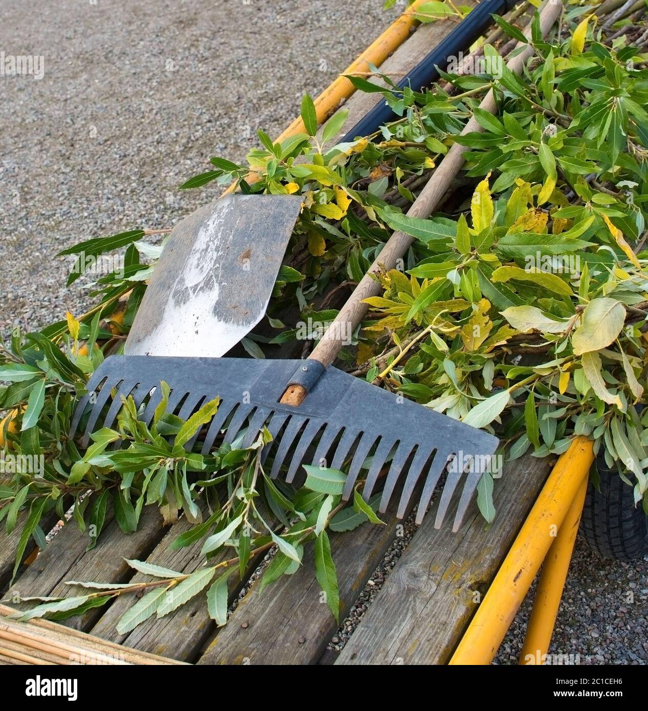 Gardening tools rake Stock Photo Alamy