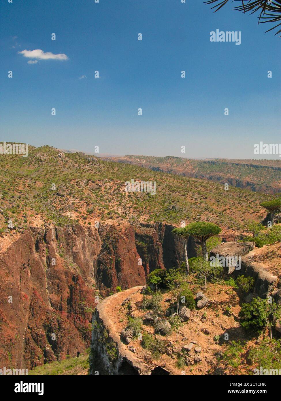 Panorama view to plateau Dixam and gorge Wadi Dirhur, Socotra island, Yemen Stock Photo