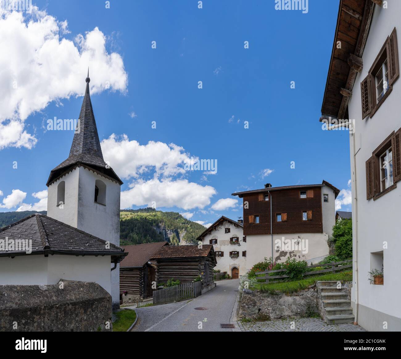 Mountain stream, European Larchs, Larix decidua, Pinaceae, Val da Larisch,  Dumagns, Muntogna da Schons, Alps, Canton of Graubünden, Switzerland Stock  Photo - Alamy