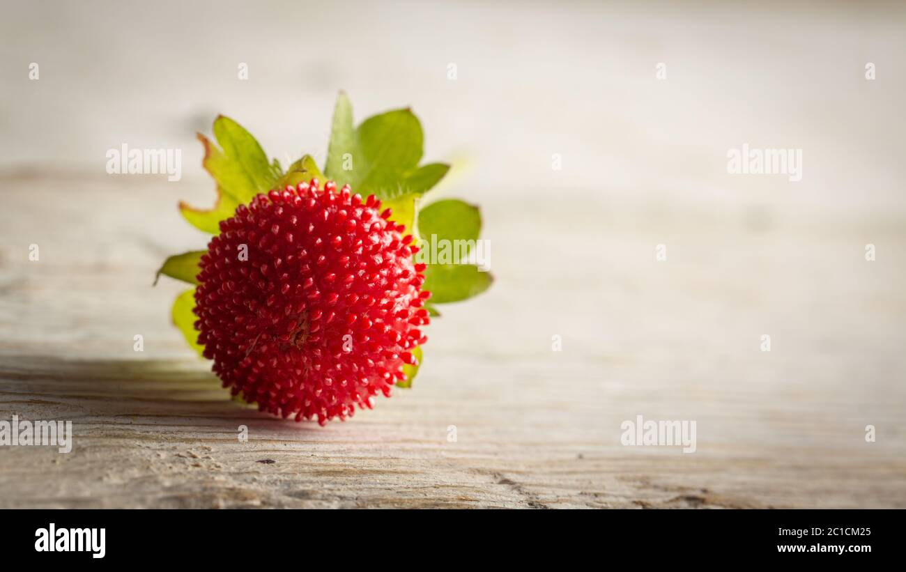 Wood srawberry Fragaria vesca On an old wooden background Stock Photo
