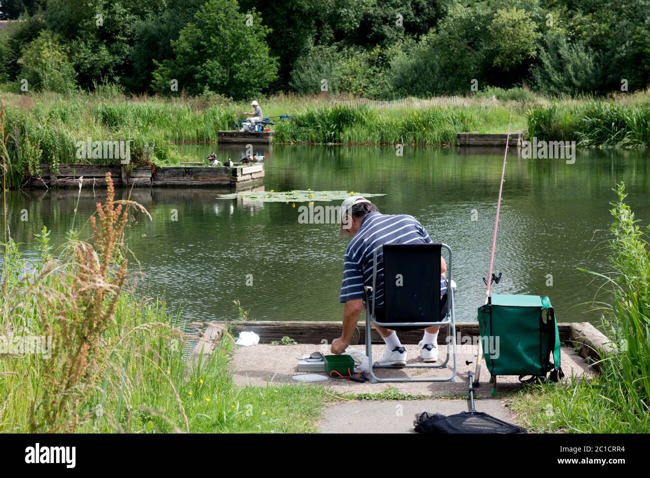An angler at Kingfisher Pool in summer, Warwick, Warwickshire, England, UK Stock Photo