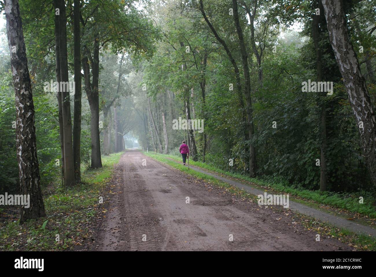 woman walking away alone on forest path wearing pink long coat or overcoat. Girl back view of walk in woods of nature park durin Stock Photo