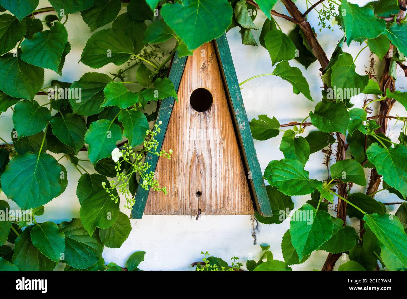 Wooden yellow bird house or nesting box a white wall in summer park or forest with green leafs Stock Photo